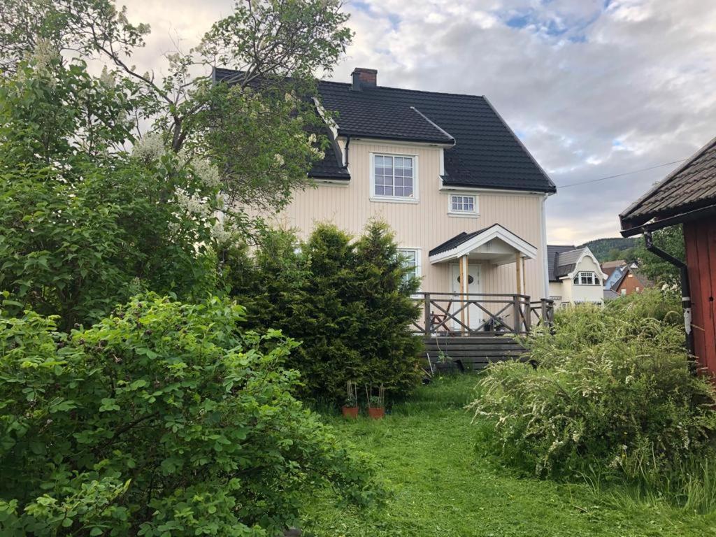 Central, Large And Light Apartment In The Middle Of The City Lillehammer Eksteriør billede